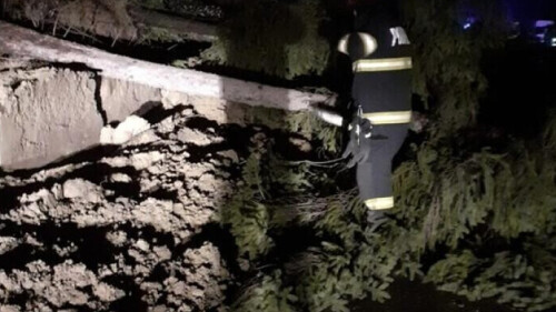 Sursa foto: seintamplainvalcea.ro